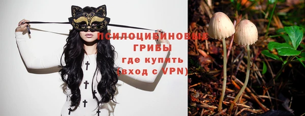 гашиш Магас