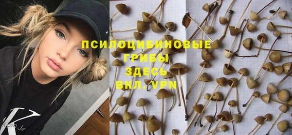 ECSTASY Майский