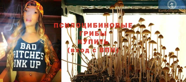 ECSTASY Майский