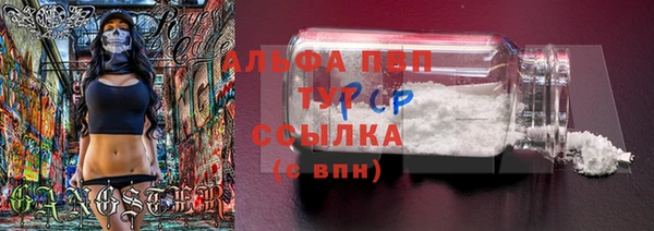 гашиш Магас